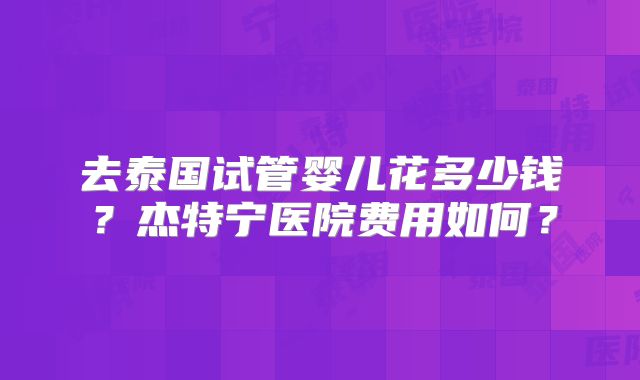 去泰国试管婴儿花多少钱？杰特宁医院费用如何？