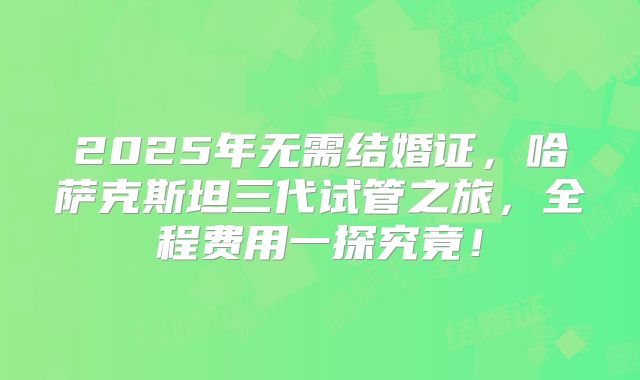 2025年无需结婚证，哈萨克斯坦三代试管之旅，全程费用一探究竟！