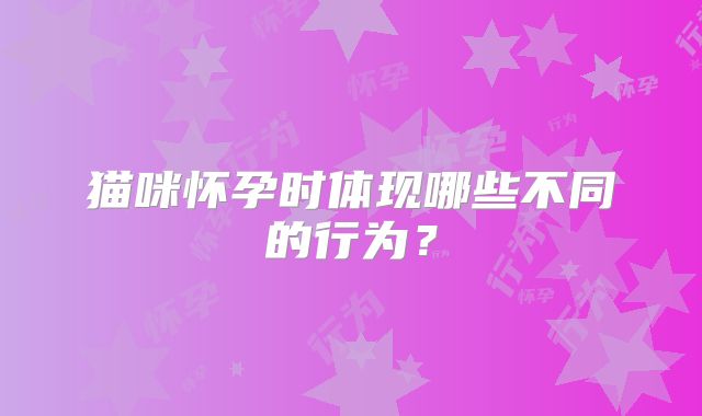 猫咪怀孕时体现哪些不同的行为？