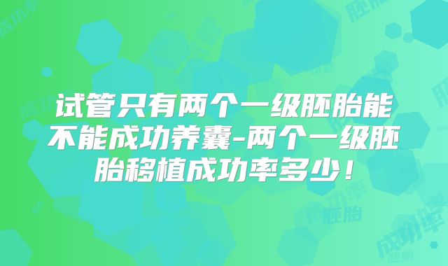 试管只有两个一级胚胎能不能成功养囊-两个一级胚胎移植成功率多少!