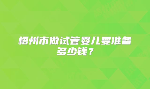 梧州市做试管婴儿要准备多少钱？