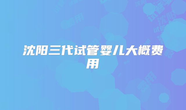 沈阳三代试管婴儿大概费用