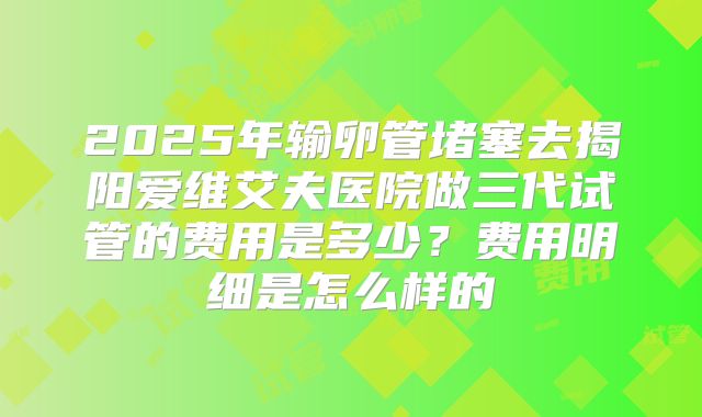 2025年输卵管堵塞去揭阳爱维艾夫医院做三代试管的费用是多少？费用明细是怎么样的