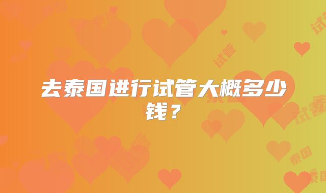 去泰国进行试管大概多少钱？