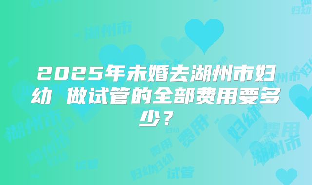 2025年未婚去湖州市妇幼 做试管的全部费用要多少?