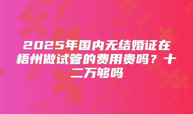 2025年国内无结婚证在梧州做试管的费用贵吗？十二万够吗