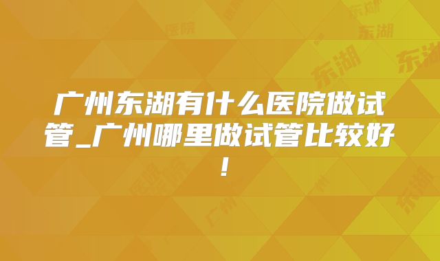 广州东湖有什么医院做试管_广州哪里做试管比较好！