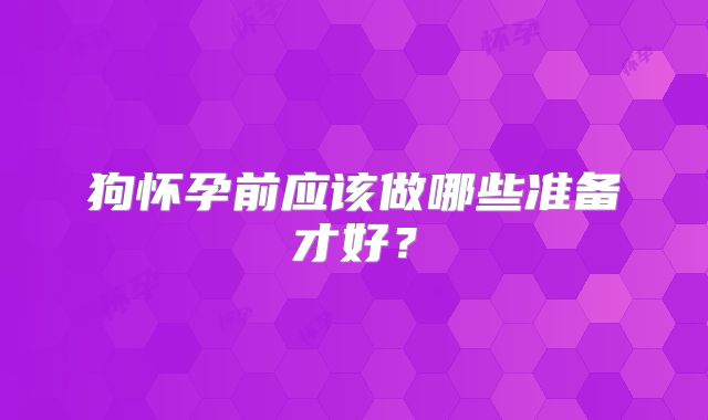 狗怀孕前应该做哪些准备才好?