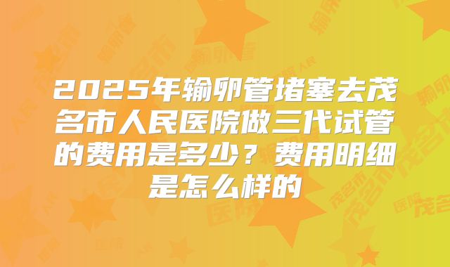 2025年输卵管堵塞去茂名市人民医院做三代试管的费用是多少?费用明细是怎么样的