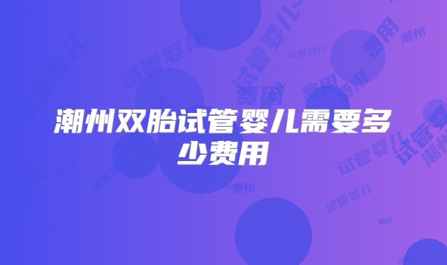 潮州双胎试管婴儿需要多少费用