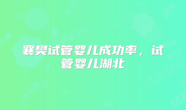 襄樊试管婴儿成功率，试管婴儿湖北
