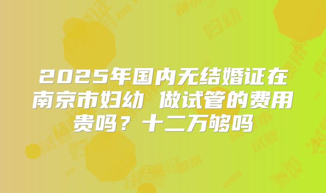 2025年国内无结婚证在南京市妇幼 做试管的费用贵吗？十二万够吗