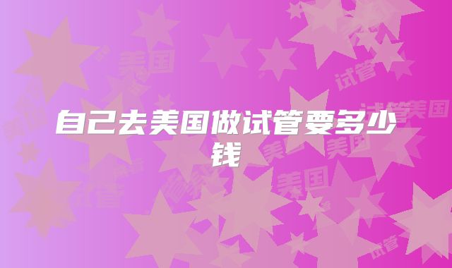 自己去美国做试管要多少钱