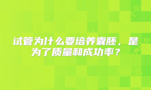 试管为什么要培养囊胚，是为了质量和成功率？