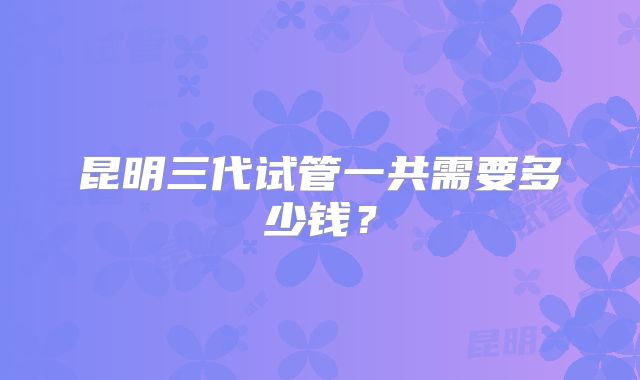 昆明三代试管一共需要多少钱？