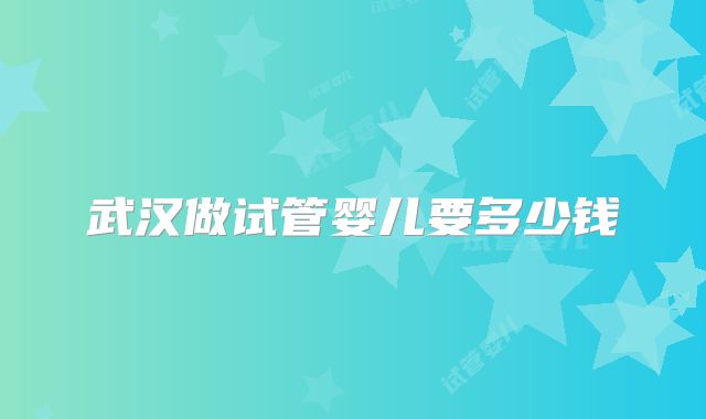 武汉做试管婴儿要多少钱