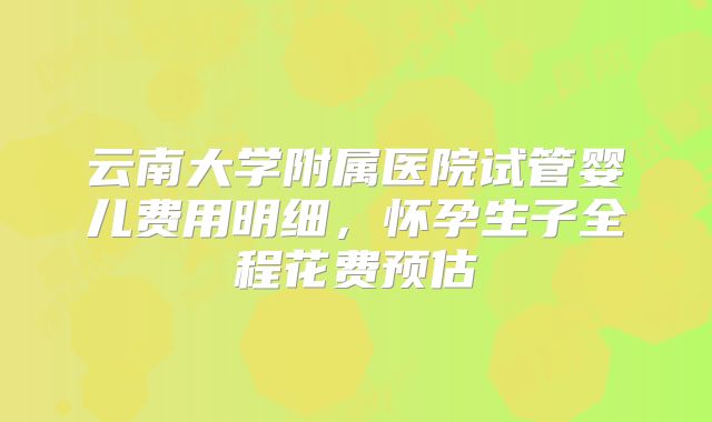 云南大学附属医院试管婴儿费用明细，怀孕生子全程花费预估