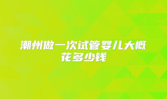 潮州做一次试管婴儿大概花多少钱
