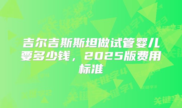 吉尔吉斯斯坦做试管婴儿要多少钱，2025版费用标准