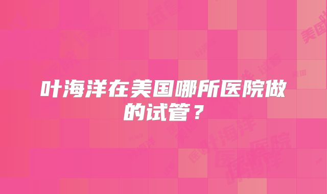 叶海洋在美国哪所医院做的试管?