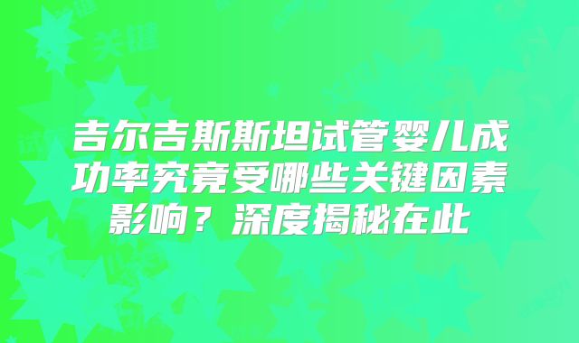 吉尔吉斯斯坦试管婴儿成功率究竟受哪些关键因素影响？深度揭秘在此