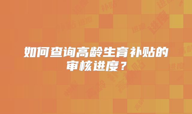 如何查询高龄生育补贴的审核进度?