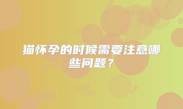 猫怀孕的时候需要注意哪些问题?