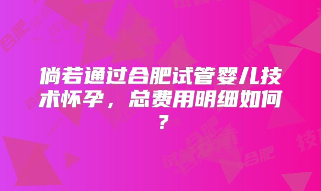 倘若通过合肥试管婴儿技术怀孕，总费用明细如何？