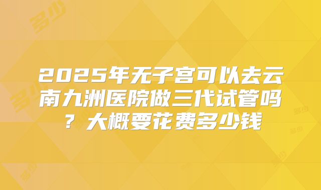 2025年无子宫可以去云南九洲医院做三代试管吗?大概要花费多少钱
