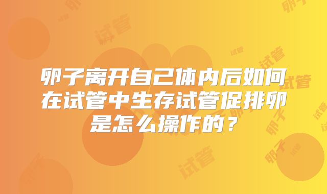 卵子离开自己体内后如何在试管中生存试管促排卵是怎么操作的？