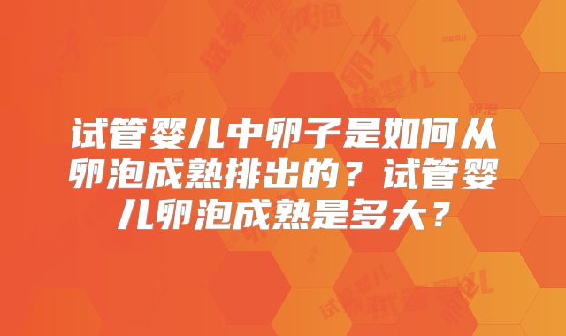 试管婴儿中卵子是如何从卵泡成熟排出的?试管婴儿卵泡成熟是多大?