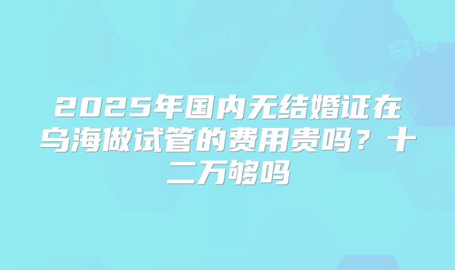 2025年国内无结婚证在乌海做试管的费用贵吗？十二万够吗