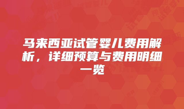 马来西亚试管婴儿费用解析,详细预算与费用明细一览