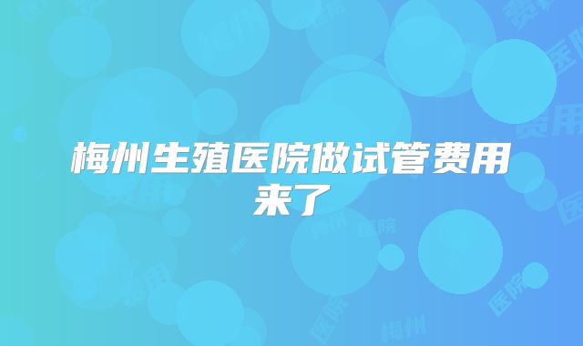 梅州生殖医院做试管费用来了