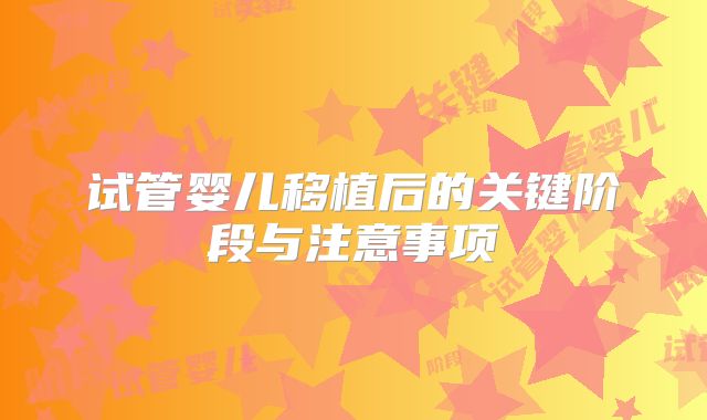 试管婴儿移植后的关键阶段与注意事项