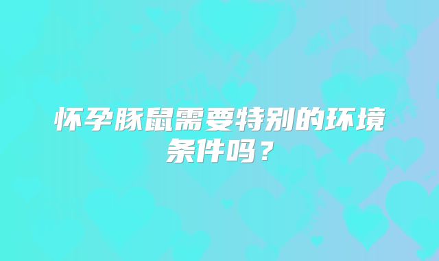 怀孕豚鼠需要特别的环境条件吗？