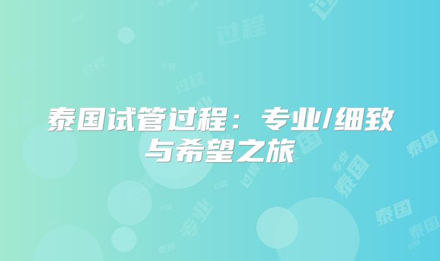 泰国试管过程:专业/细致与希望之旅