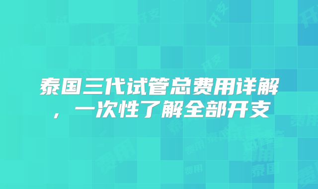 泰国三代试管总费用详解，一次性了解全部开支