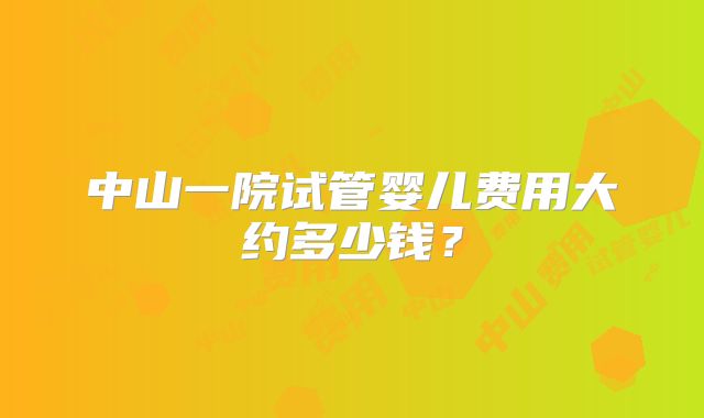 中山一院试管婴儿费用大约多少钱？