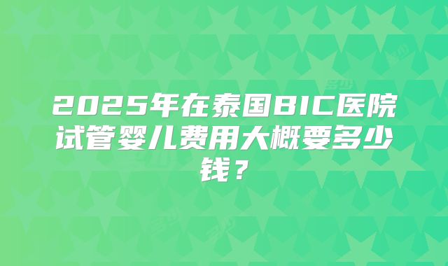 2025年在泰国BIC医院试管婴儿费用大概要多少钱?