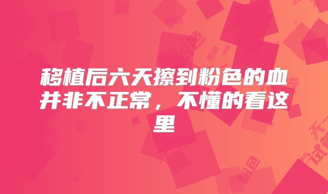 移植后六天擦到粉色的血并非不正常,不懂的看这里