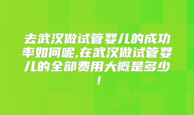 去武汉做试管婴儿的成功率如何呢,在武汉做试管婴儿的全部费用大概是多少!