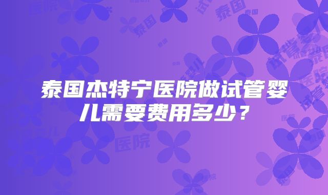 泰国杰特宁医院做试管婴儿需要费用多少？