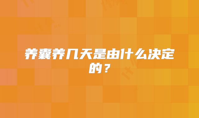 养囊养几天是由什么决定的？