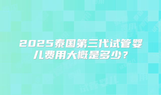 2025泰国第三代试管婴儿费用大概是多少？