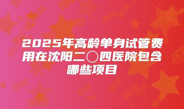 2025年高龄单身试管费用在沈阳二〇四医院包含哪些项目