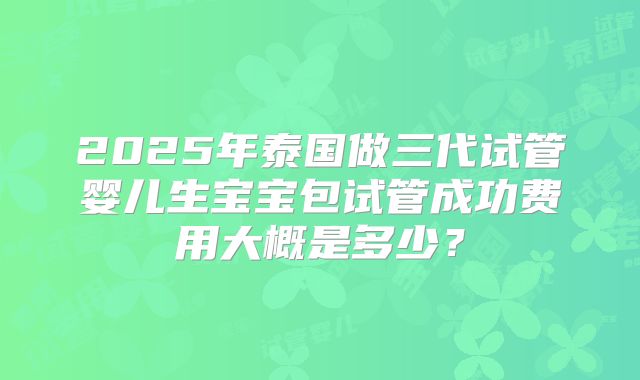 2025年泰国做三代试管婴儿生宝宝包试管成功费用大概是多少？