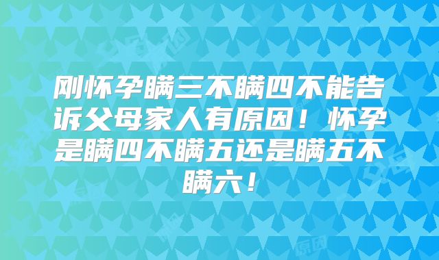 刚怀孕瞒三不瞒四不能告诉父母家人有原因!怀孕是瞒四不瞒五还是瞒五不瞒六!