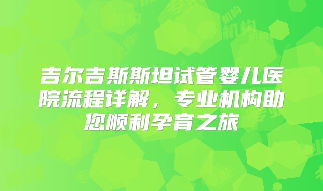 吉尔吉斯斯坦试管婴儿医院流程详解，专业机构助您顺利孕育之旅