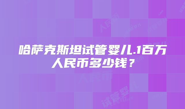 哈萨克斯坦试管婴儿.1百万人民币多少钱？